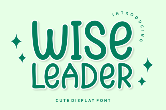 Wise Leader Typeface: Elevating Campaign Visuals with Festive Clarity